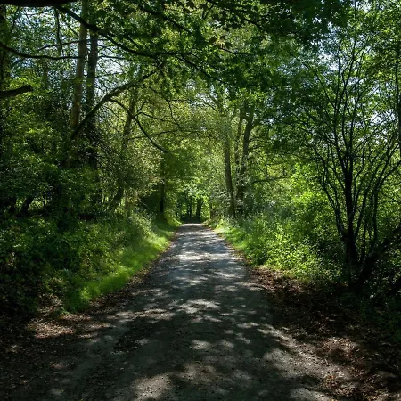 Дом отдыха Architect S Gem In Стумон